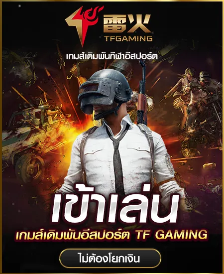 imgi_51_tfg